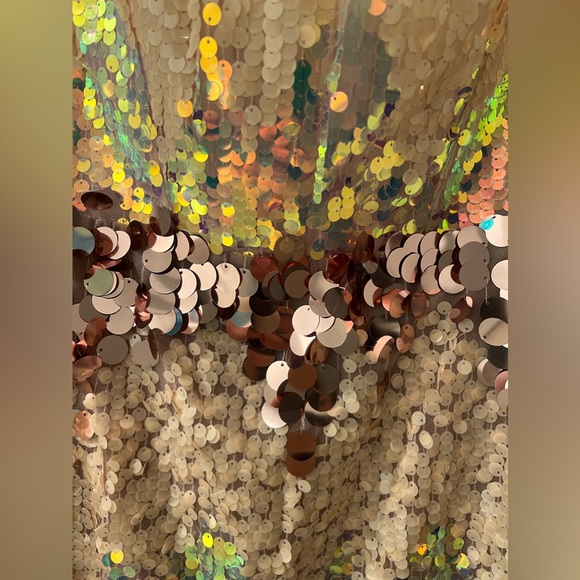 NWOT Bronx and Banco Farah Strapless Blush Gown Prom - Picture 10 of 14